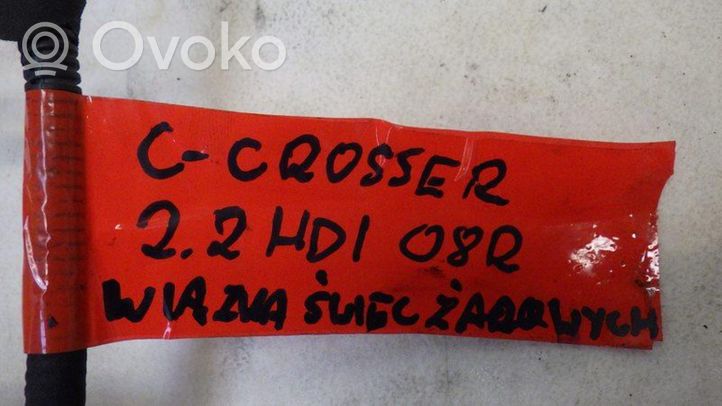 Citroen C-Crosser Autres faisceaux de câbles 9661631680