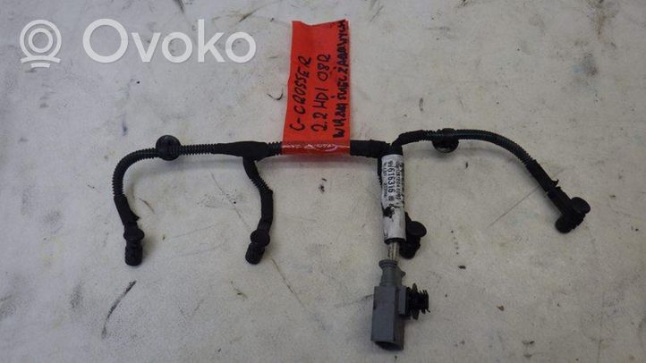 Citroen C-Crosser Altro tipo di cablaggio 9661631680