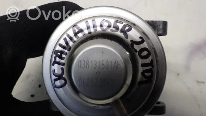 Skoda Octavia Mk2 (1Z) Zawór EGR 038131501AF