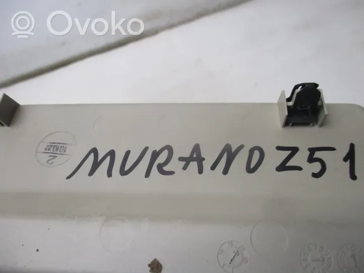 Nissan Murano Z51 Rivestimento della console di illuminazione installata sul rivestimento del tetto 