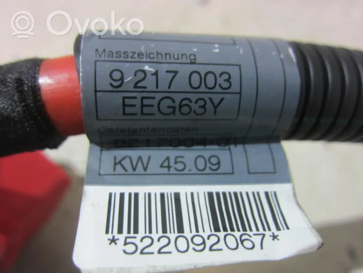 BMW X5 E70 Câble de batterie positif 9217004