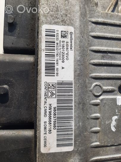 Citroen C4 Grand Picasso Calculateur moteur ECU S180123009A