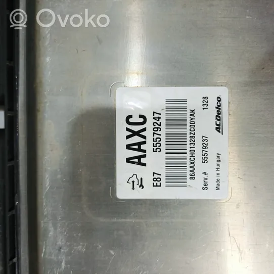 Opel Meriva B Sterownik / Moduł ECU 55579247