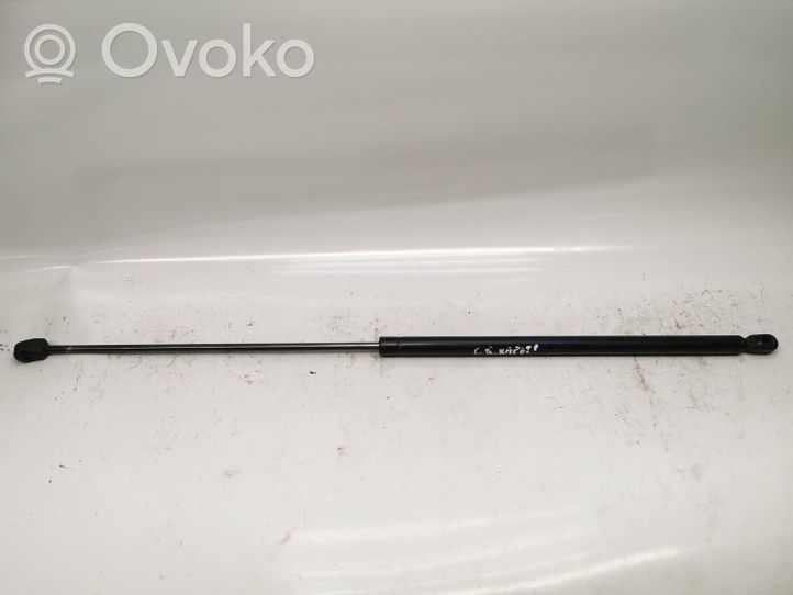 Audi A6 S6 C5 4B Front bonnet/hood damper/strut 4B0823359B