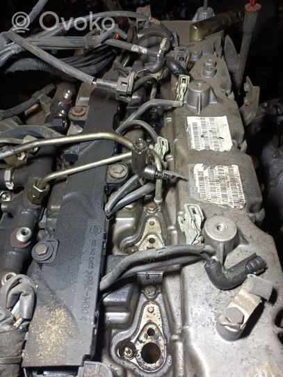 SsangYong Rexton Moteur A6652050205