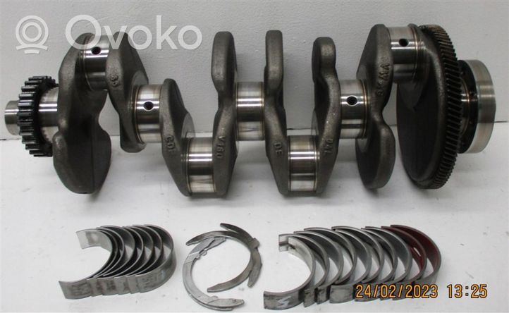 Volkswagen PASSAT B8 Crankshaft 04LC