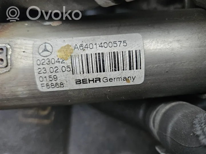Mercedes-Benz A W169 EGR-venttiili/lauhdutin A6401400575