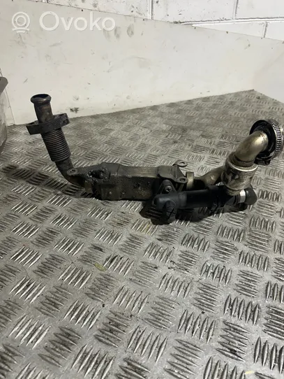 BMW 5 E39 Valvola di raffreddamento EGR 