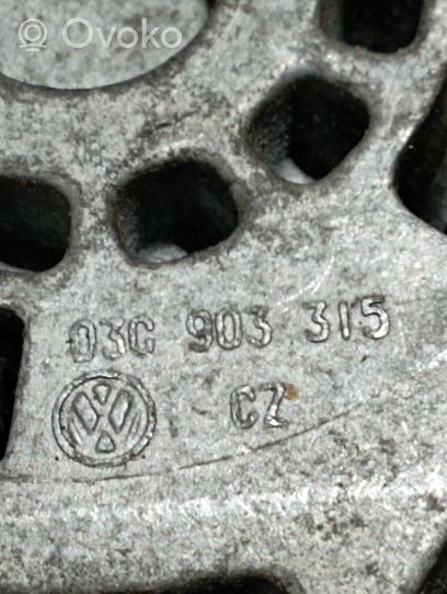 Volkswagen Golf VI Galet tendeur de la courroie d'alternateur 03C903315