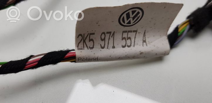 Volkswagen Caddy Wiązka przewodów drzwi przednich 2K5971557A