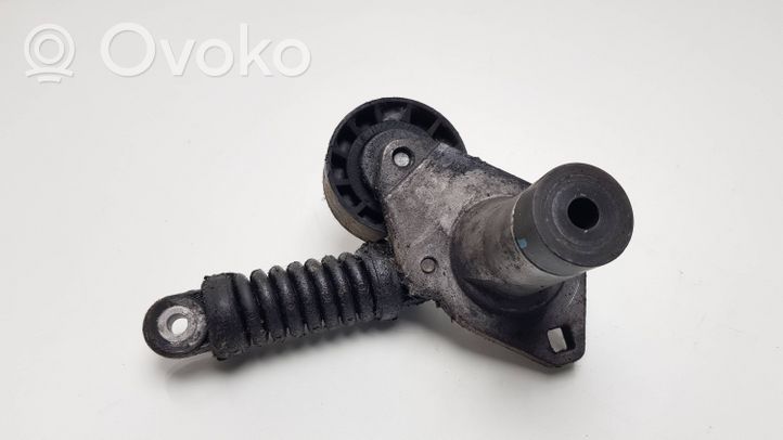 Citroen C5 Napinacz paska alternatora 9635966680