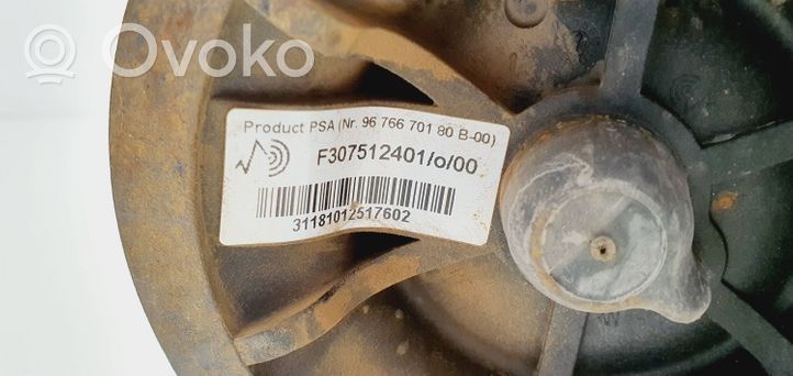 Citroen C4 I Picasso Ammortizzatore/sospensione pneumatica 9676670180