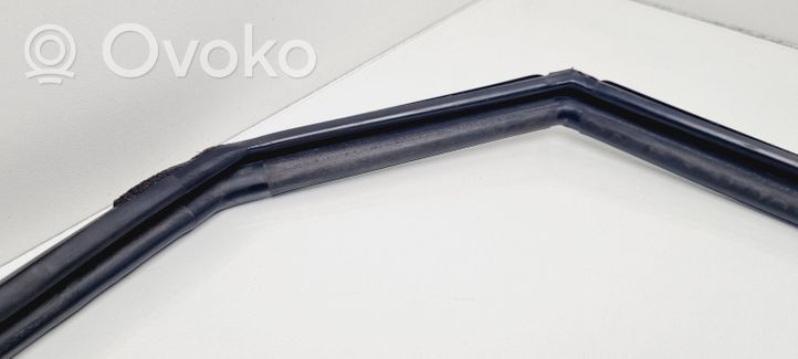 Toyota Prius (XW20) Rubber seal rear door 