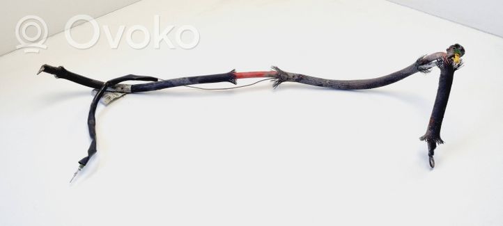 Citroen Jumper Wires (starter motor) 1341751080