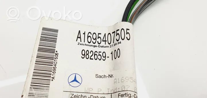 Mercedes-Benz A W169 Проводка передних дверей A1695407505