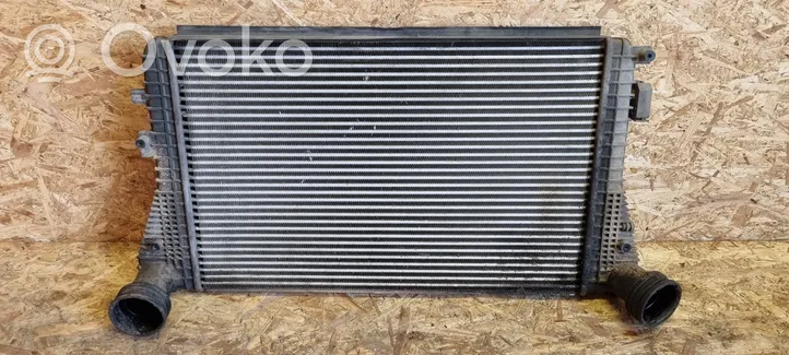 Volkswagen Golf V Radiatore intercooler 1K0121803E