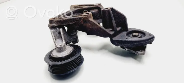 Volkswagen Crafter Generator/alternator belt tensioner 076145169A
