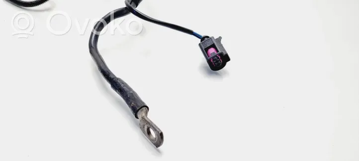 Volkswagen PASSAT B5 Cables (motor de arranque) 813971956