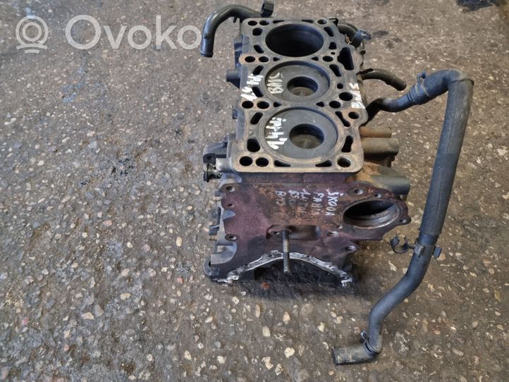 Skoda Fabia Mk2 (5J) Blok silnika 045103021R