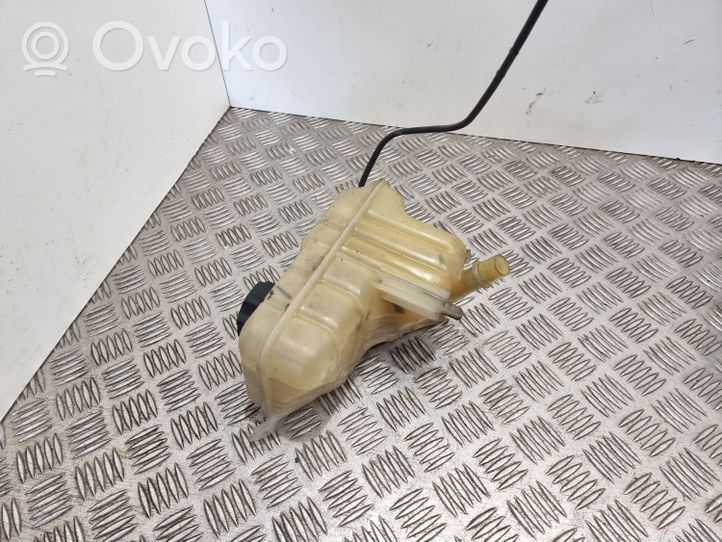 Citroen C5 Aušinimo skysčio išsiplėtimo bakelis 9660213080