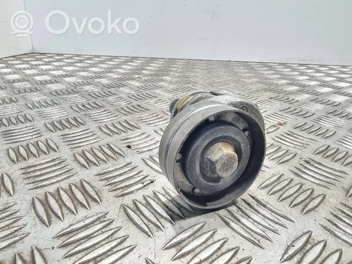 Audi A1 Napinacz paska alternatora 03c145299