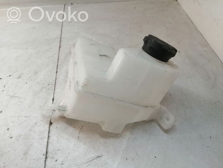 Hyundai i30 Serbatoio di compensazione del liquido refrigerante/vaschetta 25430A2000