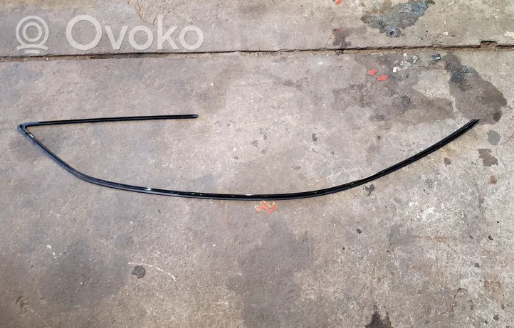 Audi S5 Rear side glass trim 0