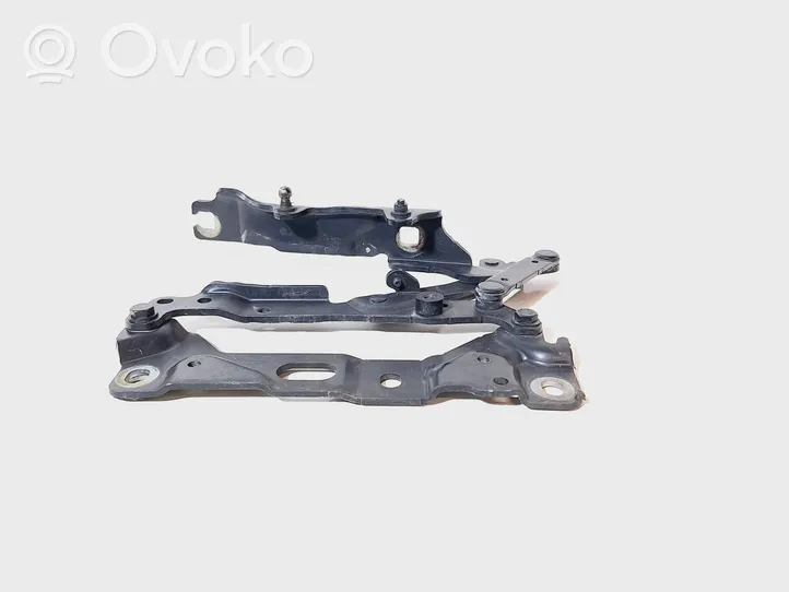 BMW 7 F01 F02 F03 F04 Cerniere del vano motore/cofano 718419009