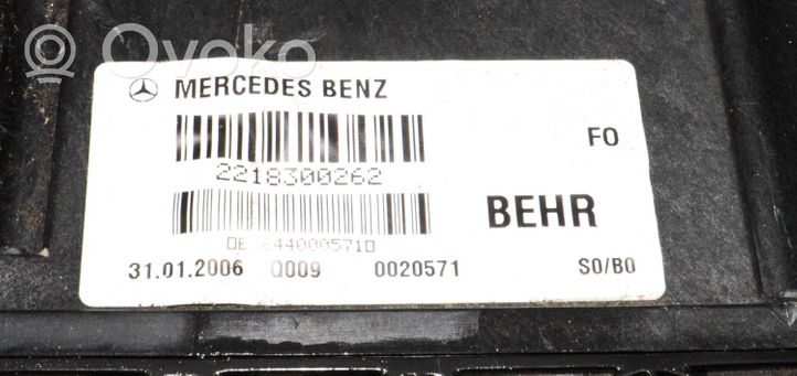 Mercedes-Benz S W221 Radiador calefacción soplador 2218300262