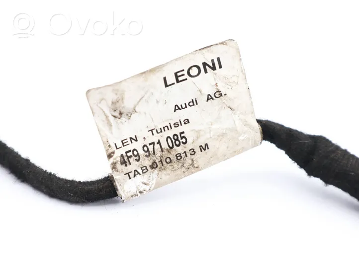 Audi A6 Allroad C6 Parking sensor (PDC) wiring loom 4F9971085