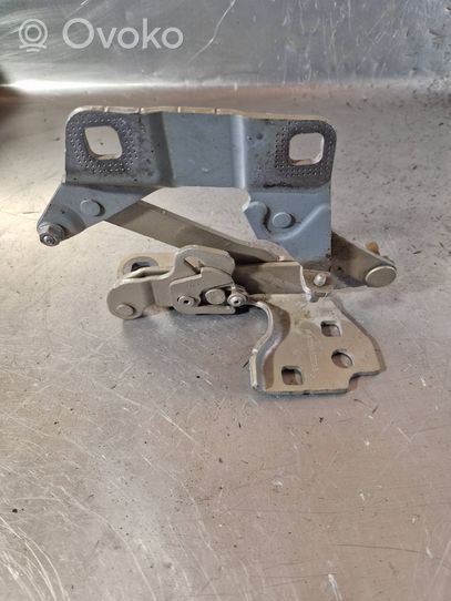 Mercedes-Benz ML W166 Engine bonnet/hood hinges A1668800128