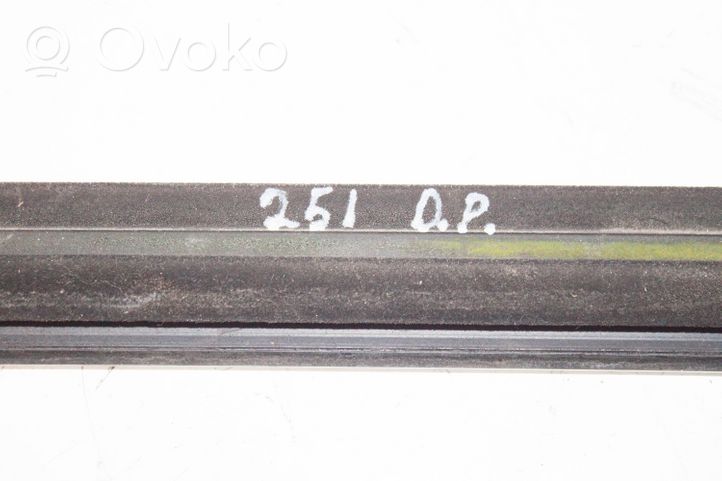 Mercedes-Benz R W251 Moulures des vitres de la porte avant A2516906680