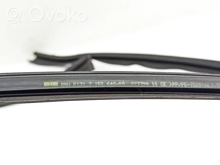 BMW 3 E92 E93 Rubber seal front coupe door window 22339910