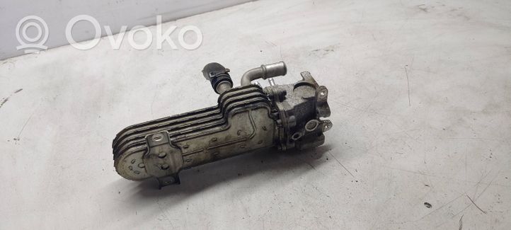 Volkswagen PASSAT B6 EGR aušintuvas 036131513j