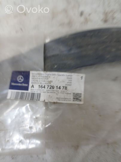 Mercedes-Benz GL X164 Front door rubber seal A1647201478