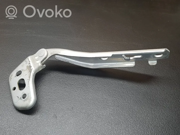 Audi A6 Allroad C6 Engine bonnet/hood hinges 4F0823302