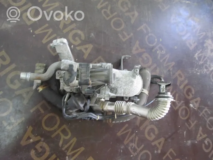 Citroen C4 II Valvola EGR 5056390300