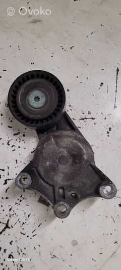 Renault Megane III Timing belt tensioner 9673997680