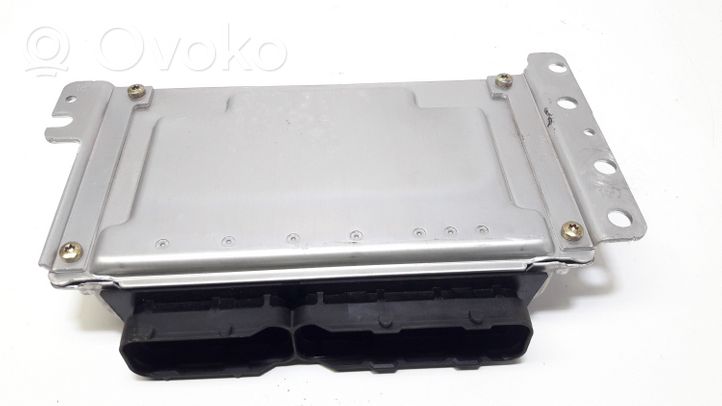 Hyundai Elantra Calculateur moteur ECU 3910926750