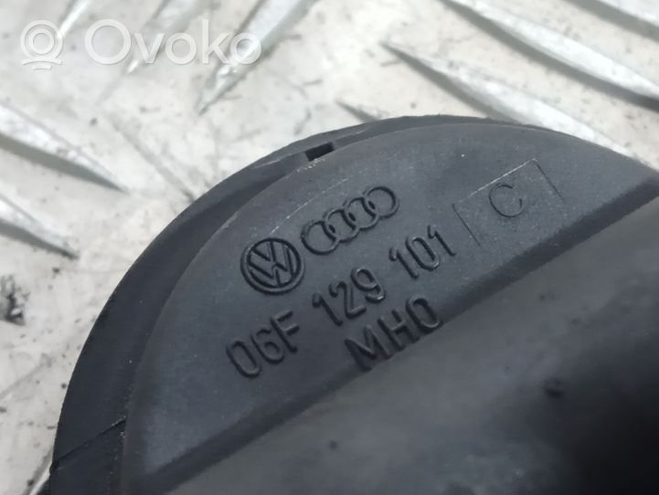 Audi A4 S4 B7 8E 8H Alsuoklis/ alsuoklio vamzdelis (-ai)/ žarna (-os) 06F129101