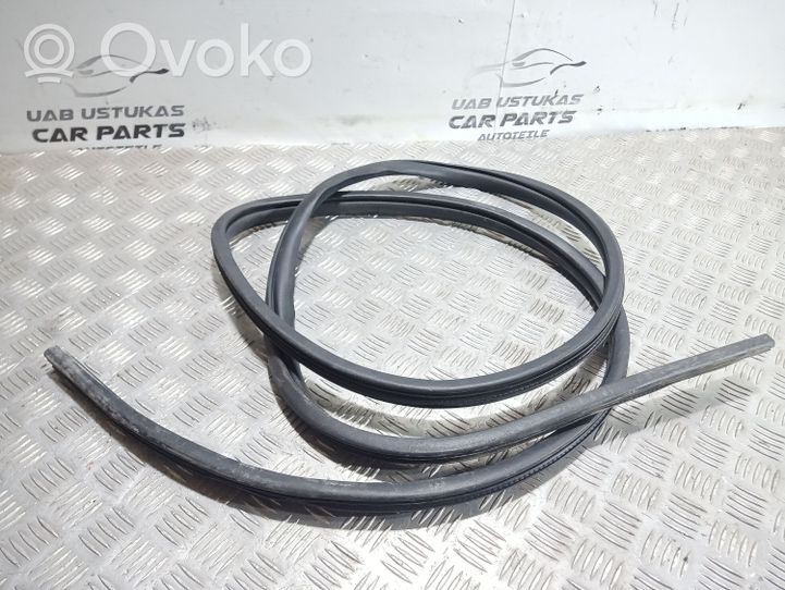 Mitsubishi Outlander Front door rubber seal 