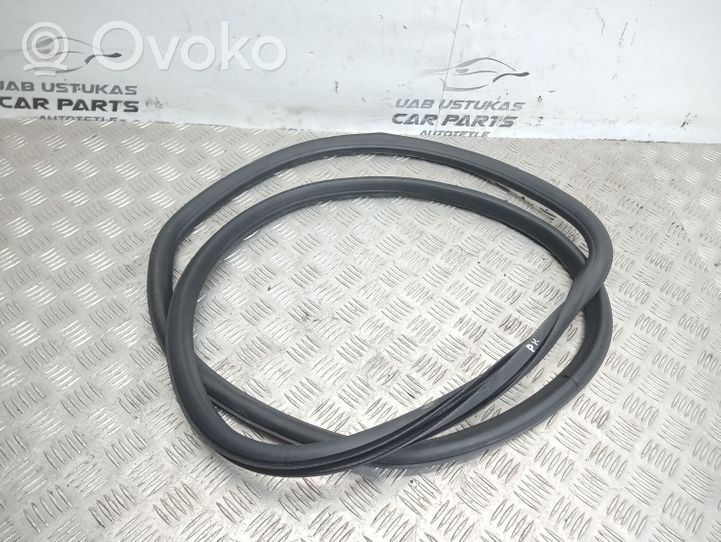 Opel Astra J Front door rubber seal 13259929