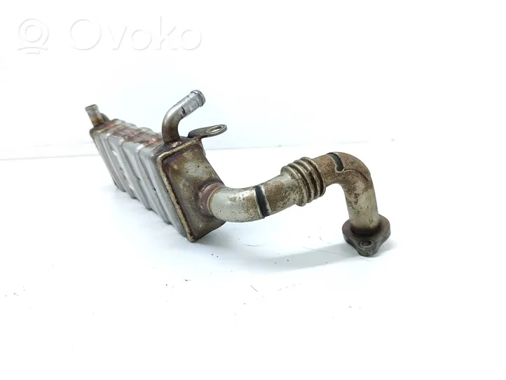 Toyota Land Cruiser (J120) EGR aušintuvas 2560130060