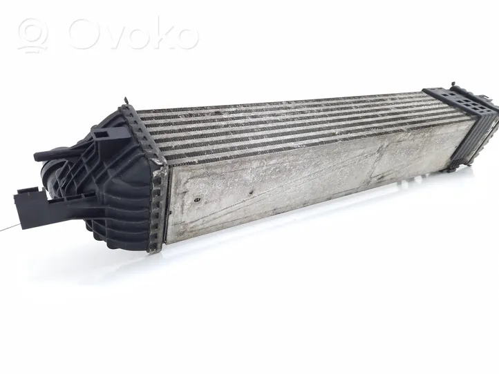 Renault Laguna III Chłodnica powietrza doładowującego / Intercooler 144960001R