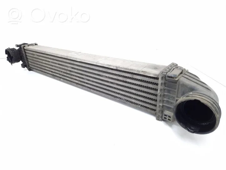 Mercedes-Benz B W245 Radiador intercooler A1695000900