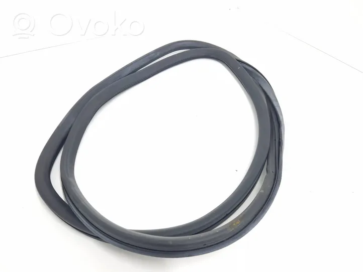 Audi A6 Allroad C6 Front door rubber seal 