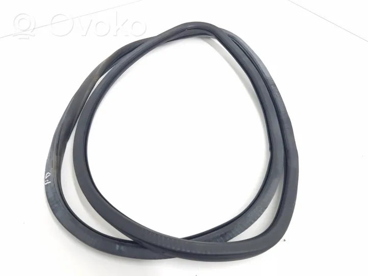 Audi A6 Allroad C6 Front door rubber seal 