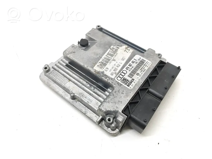 Audi A6 S6 C6 4F Centralina/modulo del motore 4F0907401B