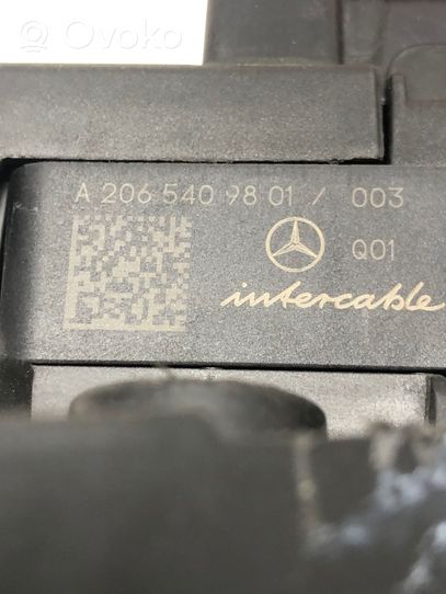 Mercedes-Benz C W206 Faisceau de câblage de porte avant A2065409801