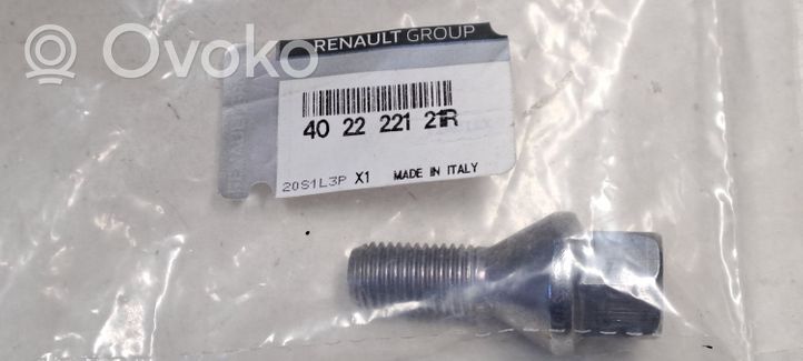 Renault Megane III Nuts/bolts 402222121R